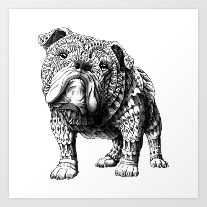 1-english-bulldog-r76-prints