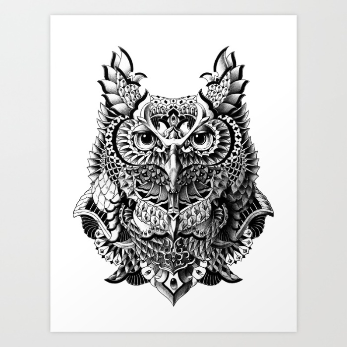5-century-owl-prints