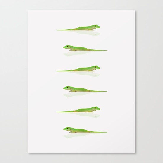 12-cute-lizard-lp4-canvas