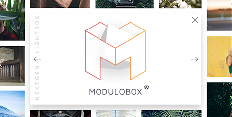 ModuloBox - NextGen Lightbox Plugin for WordPress by Theme-one | CodeCanyon