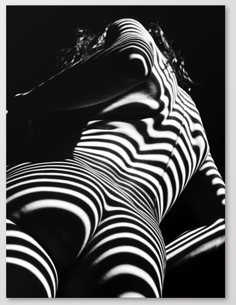 2070-AK Woman Nude Zebra Striped Light Curves around Back Butt Behind Naked Art Canvas Print by Chris Maher - society6