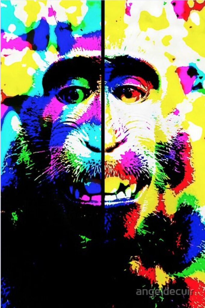 Mono alucinado
