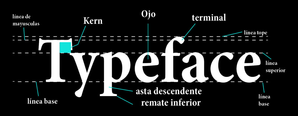 Typeface
conceptos de tipografía